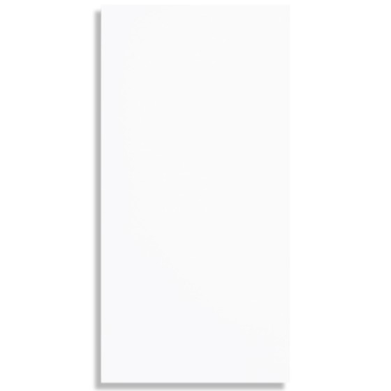 MT Gloss White 300x600mm